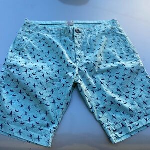 Dstrezzed Blue Striped Shorts